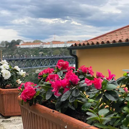 Casa Dona Olga River View شقة