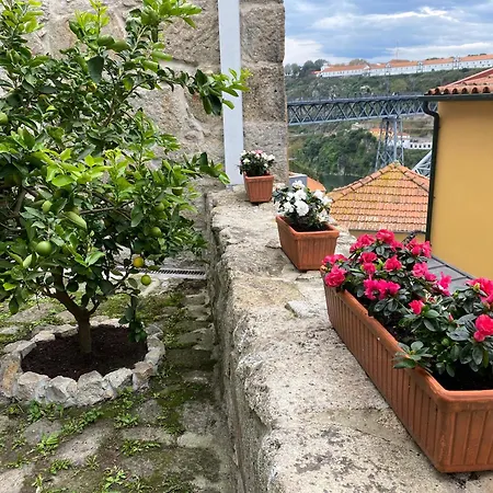 Casa Dona Olga River View *