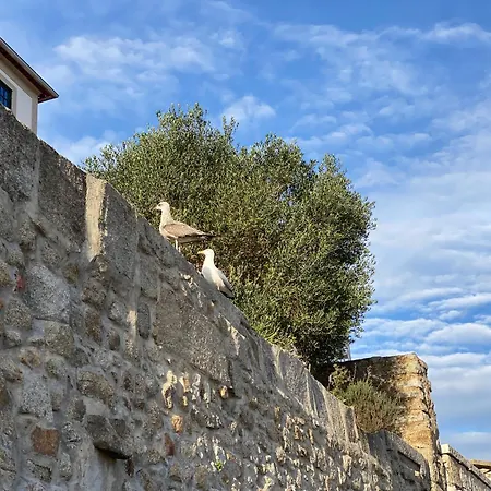 Διαμέρισμα Casa Dona Olga River View *