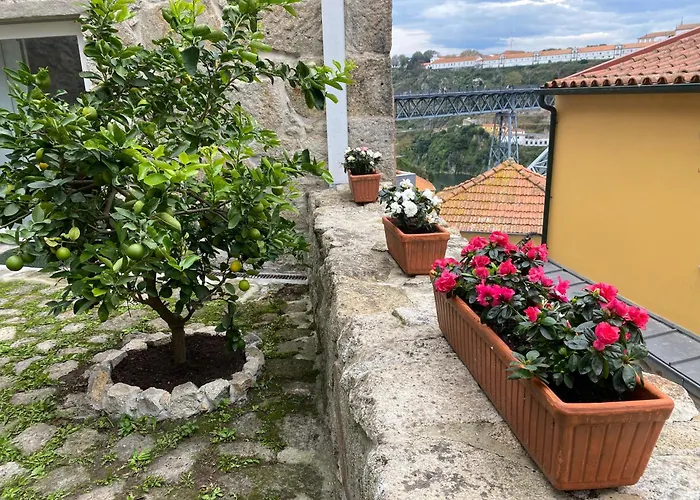 Casa Dona Olga River View *