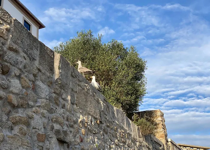 Διαμέρισμα Casa Dona Olga River View *